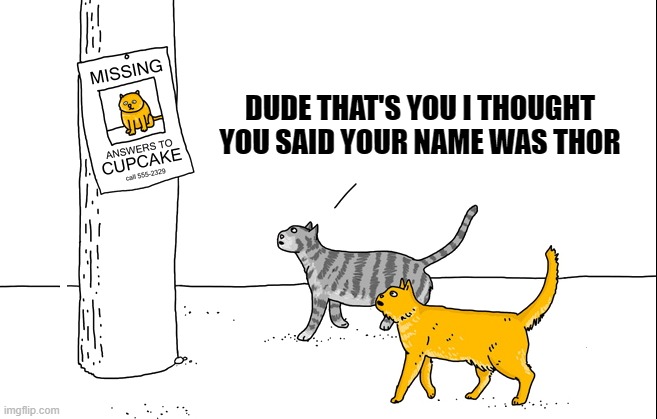 DUDE THAT'S YOU I THOUGHT YOU SAID YOUR NAME WAS THOR | made w/ Imgflip meme maker