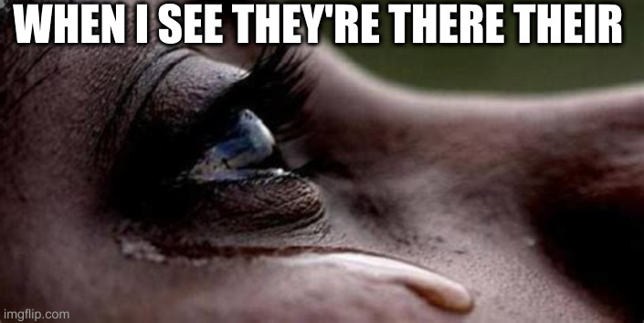 Republican tears | WHEN I SEE THEY'RE THERE THEIR | image tagged in republican tears | made w/ Imgflip meme maker