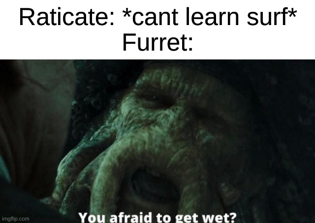 Proving furret is superior | Raticate: *cant learn surf*
Furret: | made w/ Imgflip meme maker