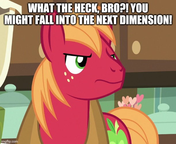Big Macintosh's Not Displeased (MLP) | WHAT THE HECK, BRO?! YOU MIGHT FALL INTO THE NEXT DIMENSION! | image tagged in big macintosh's not displeased mlp | made w/ Imgflip meme maker