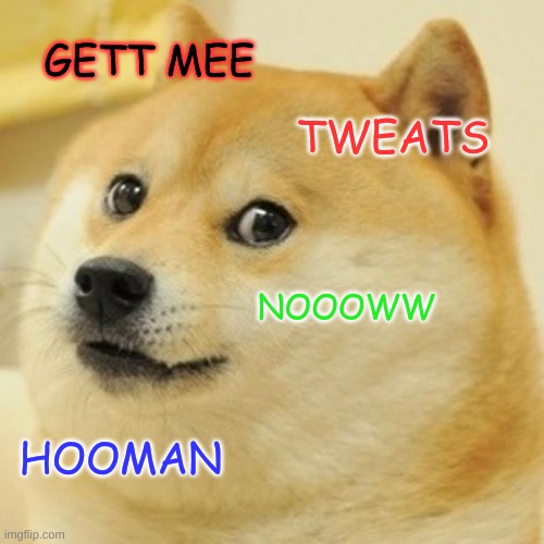 Doge Meme | GETT MEE; TWEATS; NOOOWW; HOOMAN | image tagged in memes,doge | made w/ Imgflip meme maker