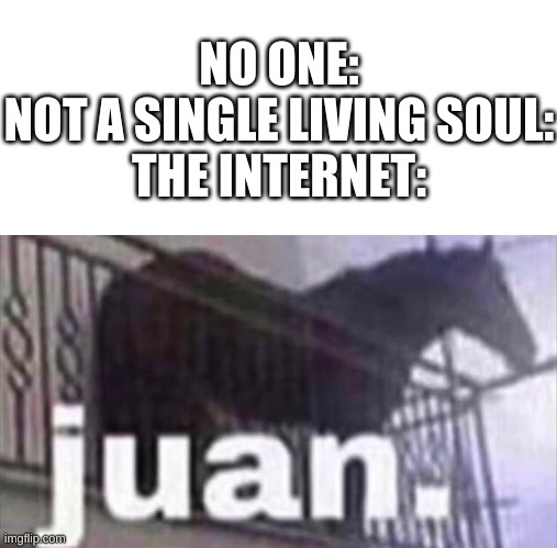 J U A N | NO ONE:
NOT A SINGLE LIVING SOUL:
THE INTERNET: | image tagged in memes,funny,horse,juan,internet | made w/ Imgflip meme maker
