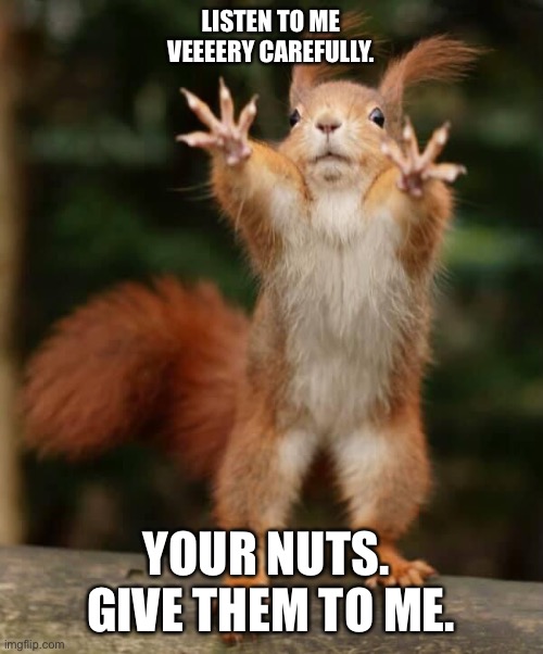 Demanding Squirrel | LISTEN TO ME VEEEERY CAREFULLY. YOUR NUTS.  GIVE THEM TO ME. | image tagged in squirrel | made w/ Imgflip meme maker