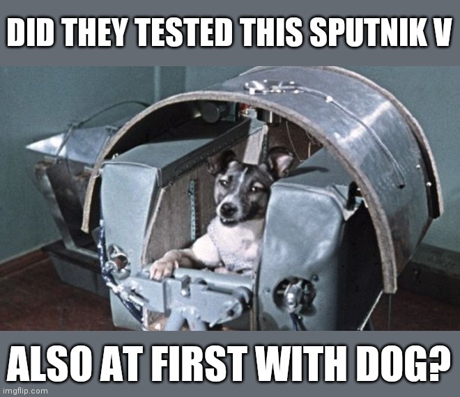 Laika asking | DID THEY TESTED THIS SPUTNIK V; ALSO AT FIRST WITH DOG? | image tagged in sputnik v,laika dog,covid-19,vaccines,russia,space | made w/ Imgflip meme maker