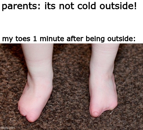 i cant feel me toes | parents: its not cold outside! my toes 1 minute after being outside: | image tagged in toes,memes,funny,parents,relatable,freezing cold | made w/ Imgflip meme maker