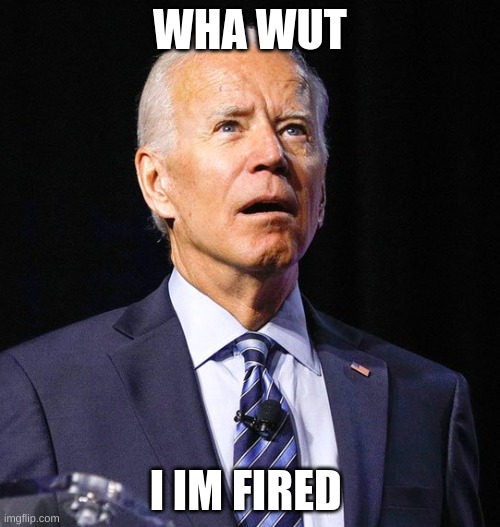 when  biden found out he fired | WHA WUT; I IM FIRED | image tagged in funny meme | made w/ Imgflip meme maker