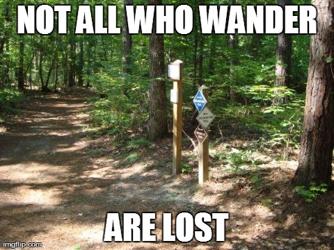 NOT ALL WHO WANDER ARE LOST | image tagged in not all who wander | made w/ Imgflip meme maker