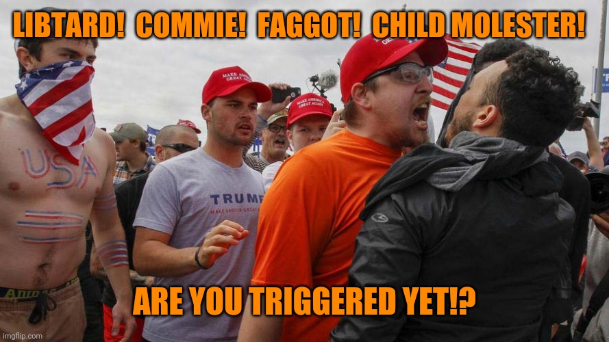 Angry Red Cap | LIBTARD!  COMMIE!  FAGGOT!  CHILD MOLESTER! ARE YOU TRIGGERED YET!? | image tagged in angry red cap | made w/ Imgflip meme maker