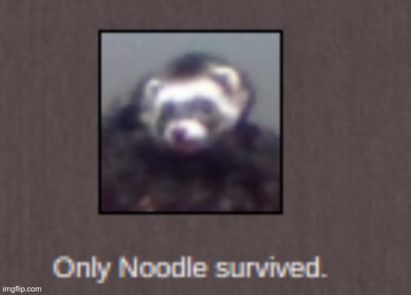 only noodle survived | image tagged in only noodle survived | made w/ Imgflip meme maker
