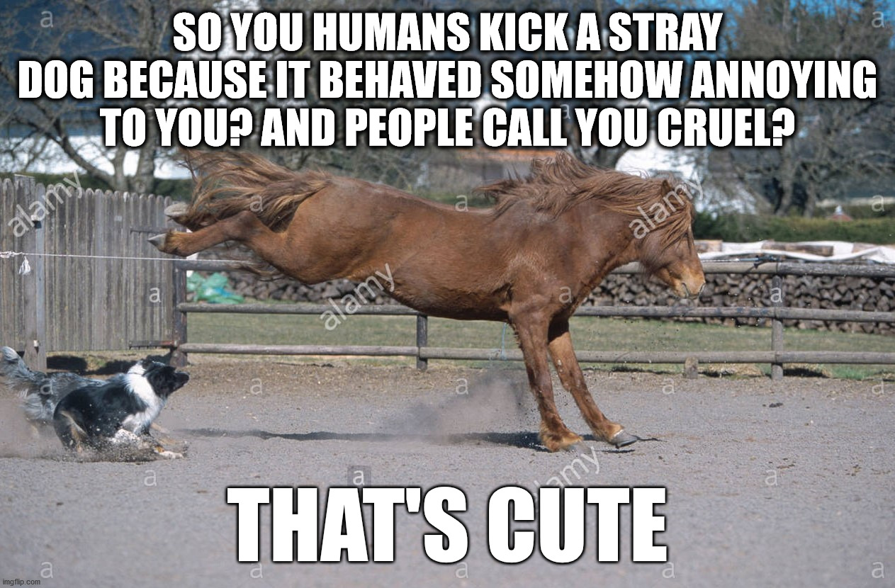 Why is it wrong for humans to kick small animals? | SO YOU HUMANS KICK A STRAY DOG BECAUSE IT BEHAVED SOMEHOW ANNOYING TO YOU? AND PEOPLE CALL YOU CRUEL? THAT'S CUTE | image tagged in dogs,horse,animals,kick,annoying,man | made w/ Imgflip meme maker