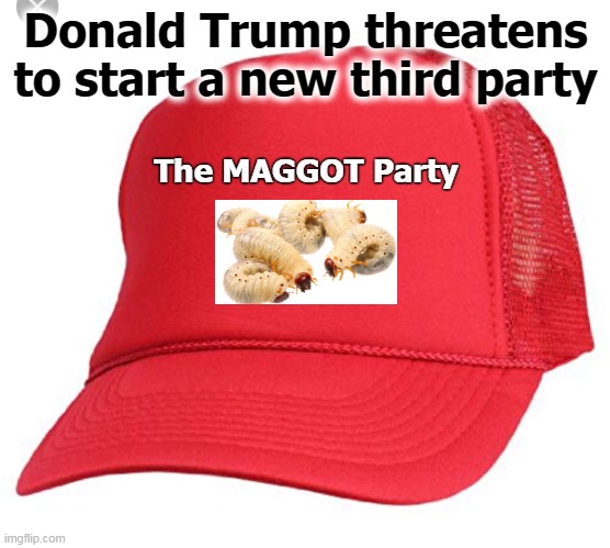 Maggots Forever! | Donald Trump threatens to start a new third party; The MAGGOT Party | image tagged in blank maga hat,trump,new,party,maga | made w/ Imgflip meme maker