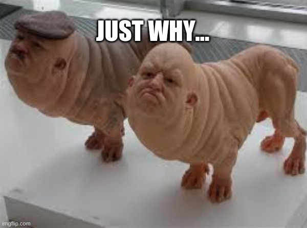 JUST WHYYYY | JUST WHY... | image tagged in excuse me what the fuck,why | made w/ Imgflip meme maker