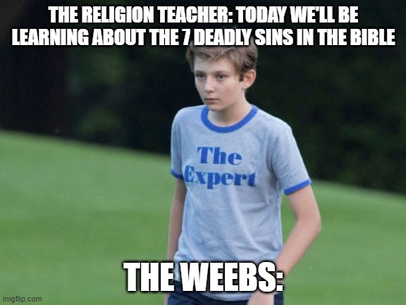 The Expert | THE RELIGION TEACHER: TODAY WE'LL BE LEARNING ABOUT THE 7 DEADLY SINS IN THE BIBLE; THE WEEBS: | image tagged in the expert | made w/ Imgflip meme maker