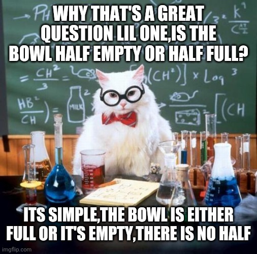 Chemistry Cat | WHY THAT'S A GREAT QUESTION LIL ONE,IS THE BOWL HALF EMPTY OR HALF FULL? ITS SIMPLE,THE BOWL IS EITHER FULL OR IT'S EMPTY,THERE IS NO HALF | image tagged in memes,chemistry cat | made w/ Imgflip meme maker