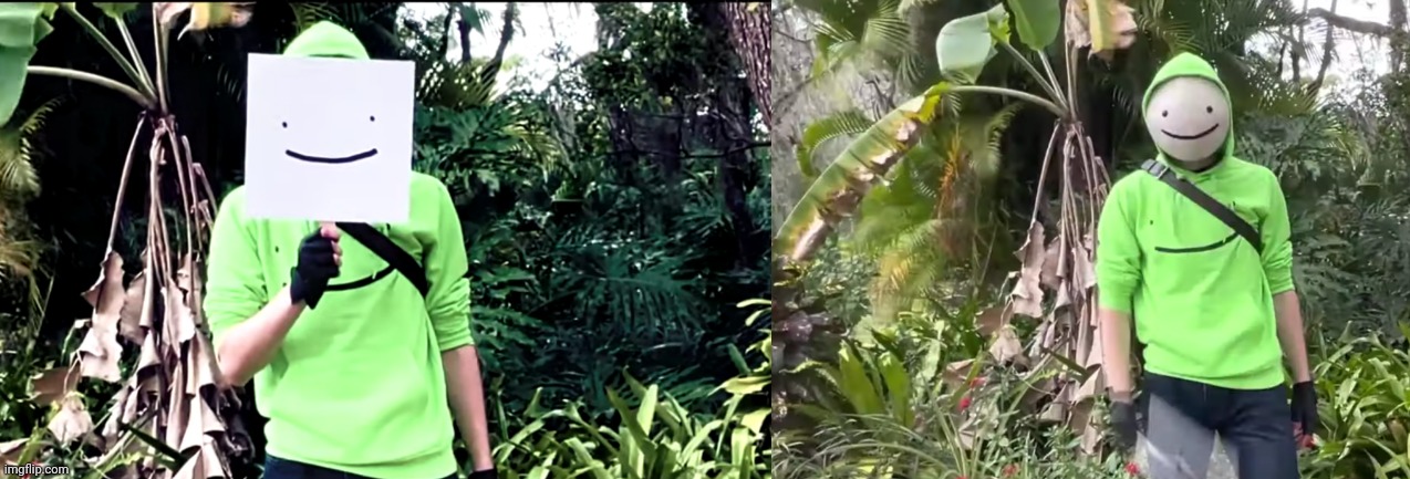 Dream Face Reveal | image tagged in dream face reveal | made w/ Imgflip meme maker