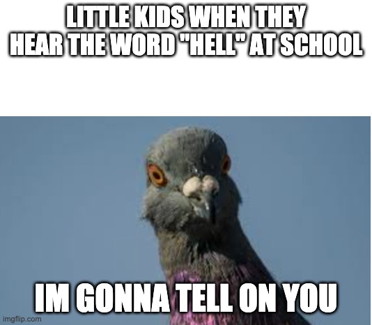 little kids be like: | LITTLE KIDS WHEN THEY HEAR THE WORD "HELL" AT SCHOOL; IM GONNA TELL ON YOU | image tagged in pigeon,little kids be like | made w/ Imgflip meme maker