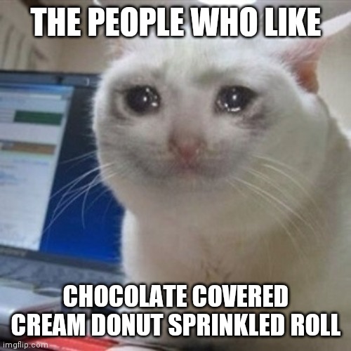 Crying cat | THE PEOPLE WHO LIKE CHOCOLATE COVERED CREAM DONUT SPRINKLED ROLL | image tagged in crying cat | made w/ Imgflip meme maker