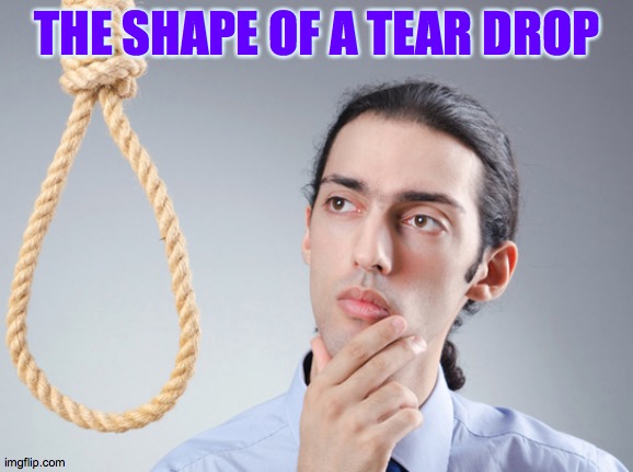 tear drop | THE SHAPE OF A TEAR DROP | image tagged in noose,tear,drip,death,pffft,drop | made w/ Imgflip meme maker