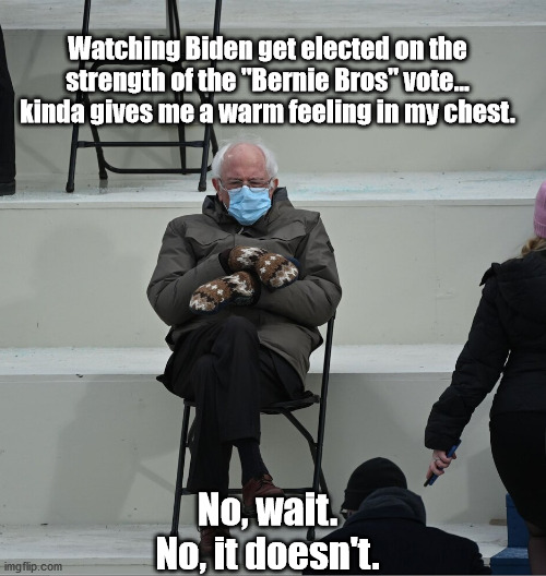 Maybe if I think about Ocasio-Cortez it will give me some Global Warming in my pants... Nope. | Watching Biden get elected on the strength of the "Bernie Bros" vote... kinda gives me a warm feeling in my chest. No, wait.
No, it doesn't. | image tagged in bernie mittens | made w/ Imgflip meme maker