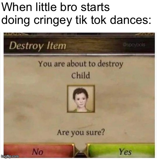 You are about to destroy Child | When little bro starts doing cringey tik tok dances: | image tagged in you are about to destroy child | made w/ Imgflip meme maker