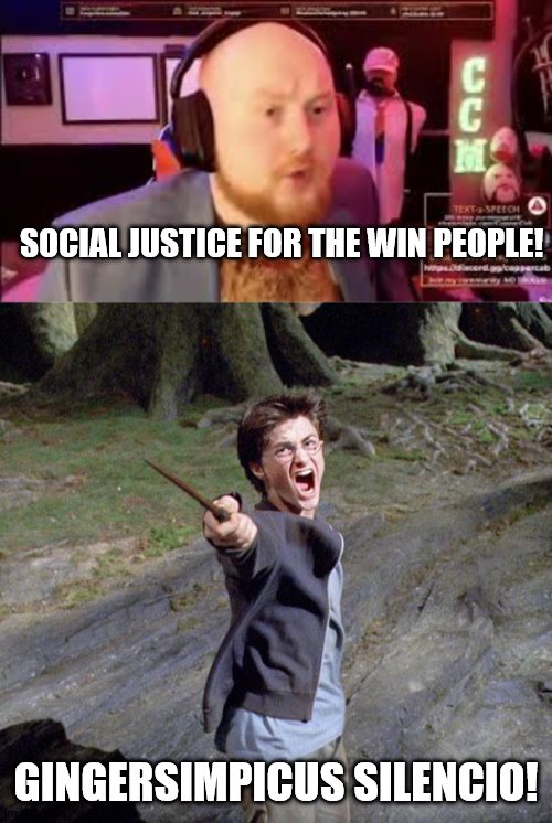 Harry Potter and the ginger bearded simpanzee | SOCIAL JUSTICE FOR THE WIN PEOPLE! GINGERSIMPICUS SILENCIO! | image tagged in harry potter | made w/ Imgflip meme maker