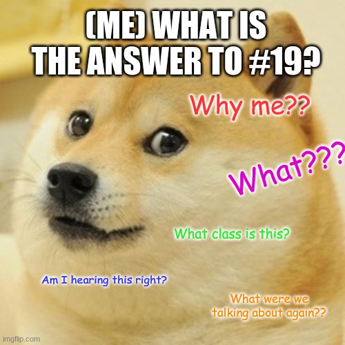 When I don't pay attention in science class. | (ME) WHAT IS THE ANSWER TO #19? Why me?? What??? What class is this? Am I hearing this right? What were we talking about again?? | image tagged in memes,doge | made w/ Imgflip meme maker