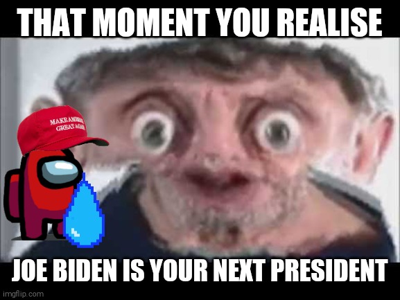 Joe Biden is your next president | THAT MOMENT YOU REALISE; JOE BIDEN IS YOUR NEXT PRESIDENT | image tagged in joe biden,donald trump | made w/ Imgflip meme maker