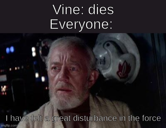 Vine is gone... | Vine: dies
Everyone:; I have felt a great disturbance in the force | image tagged in disturbance in the force | made w/ Imgflip meme maker