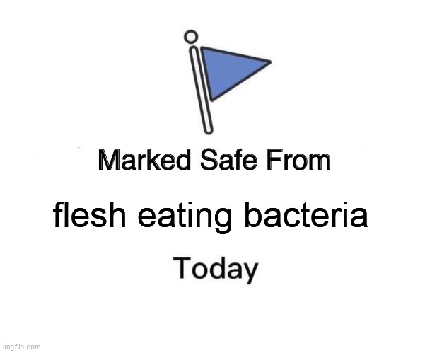 Marked Safe From Meme | flesh eating bacteria | image tagged in memes,marked safe from | made w/ Imgflip meme maker