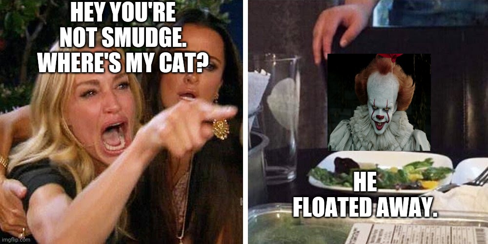 Smudge the cat | HEY YOU'RE NOT SMUDGE. WHERE'S MY CAT? HE FLOATED AWAY. | image tagged in smudge the cat | made w/ Imgflip meme maker