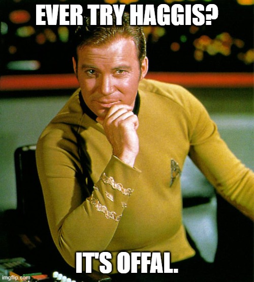 captain kirk | EVER TRY HAGGIS? IT'S OFFAL. | image tagged in captain kirk | made w/ Imgflip meme maker