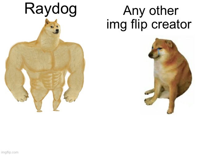 Raydog for prez | Raydog; Any other img flip creator | image tagged in memes,buff doge vs cheems | made w/ Imgflip meme maker
