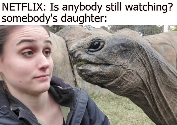 NETFLIX: Is anybody still watching?
somebody's daughter: | image tagged in nettie | made w/ Imgflip meme maker