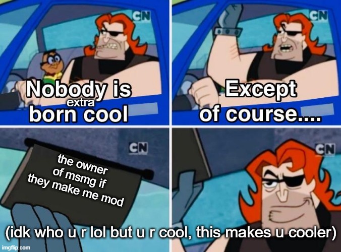 Nobody is born cool | extra; the owner of msmg if they make me mod; (idk who u r lol but u r cool, this makes u cooler) | image tagged in nobody is born cool | made w/ Imgflip meme maker