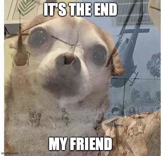 PTSD Chihuahua | IT'S THE END; MY FRIEND | image tagged in ptsd chihuahua | made w/ Imgflip meme maker