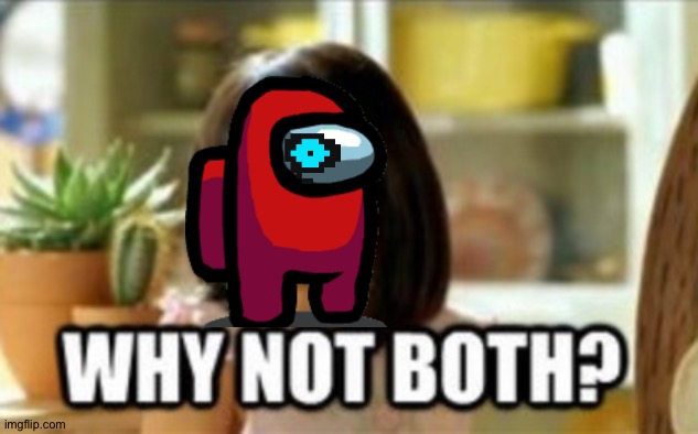 Why not both? | image tagged in why not both | made w/ Imgflip meme maker