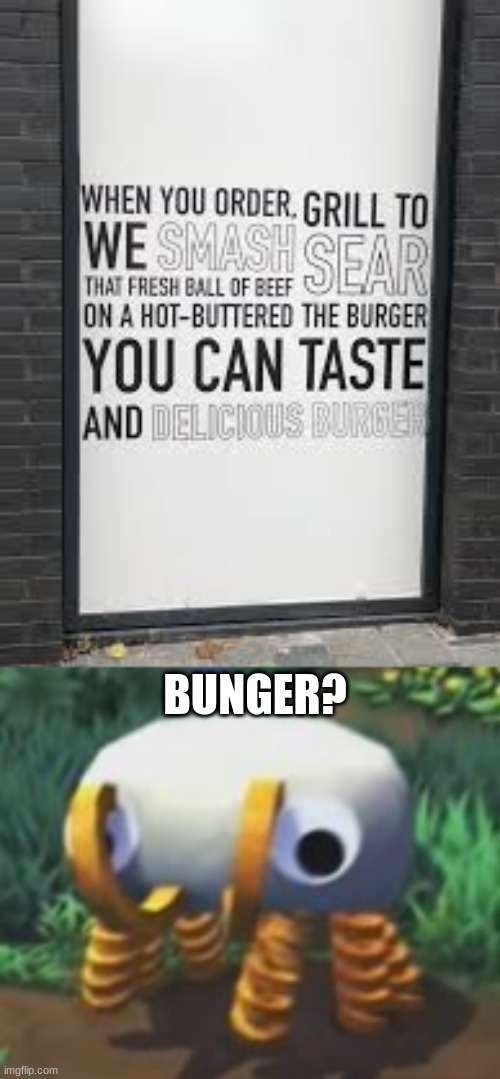 What the Bunger am I looking at? |  BUNGER? | image tagged in bunger | made w/ Imgflip meme maker
