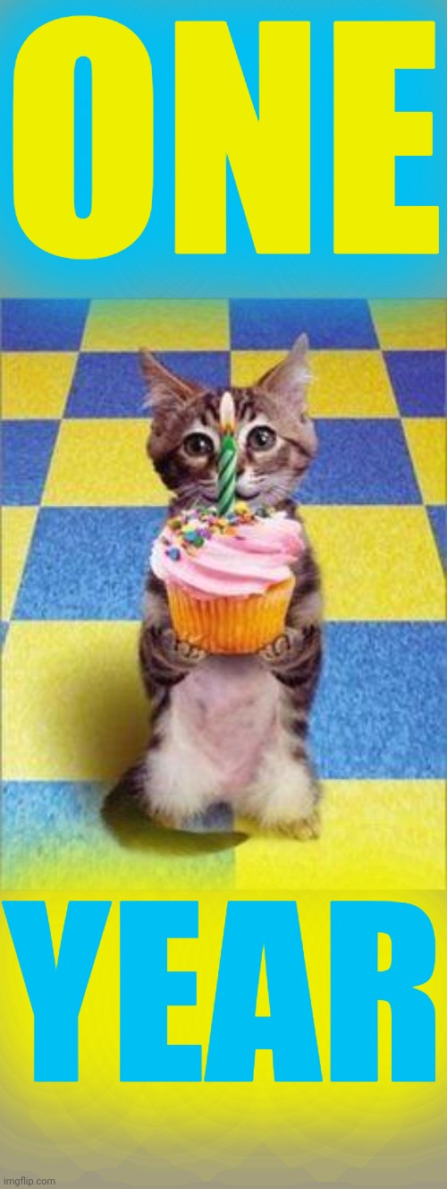 Happy Birthday Cat | ONE YEAR | image tagged in happy birthday cat | made w/ Imgflip meme maker