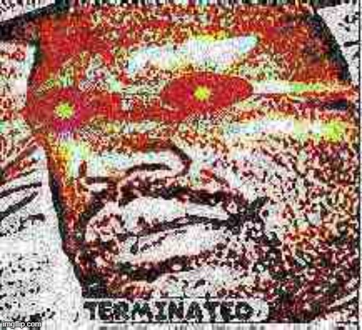 TERMINATED | image tagged in i sleep real shit | made w/ Imgflip meme maker