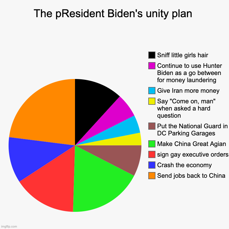 The pRESIDENT Biden's plan for unity | The pResident Biden's unity plan | Send jobs back to China, Crash the economy, sign gay executive orders, Make China Great Agian, Put the Na | image tagged in charts,pie charts | made w/ Imgflip chart maker