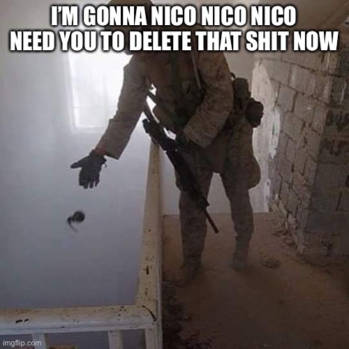 Grenade Drop | I’M GONNA NICO NICO NICO NEED YOU TO DELETE THAT SHIT NOW | image tagged in grenade drop | made w/ Imgflip meme maker