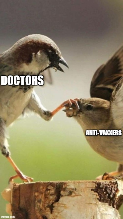 Shut up birds | DOCTORS; ANTI-VAXXERS | image tagged in shut up birds | made w/ Imgflip meme maker