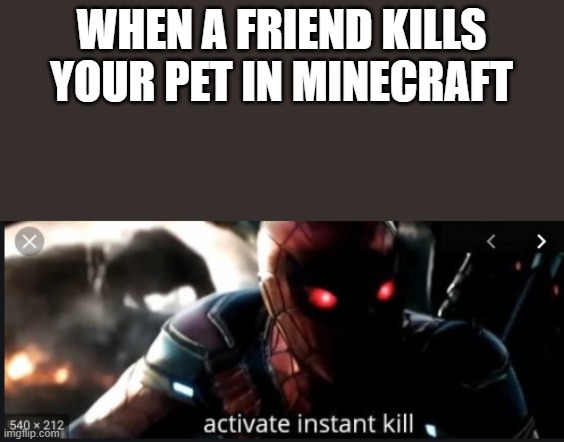 instant kill | WHEN A FRIEND KILLS YOUR PET IN MINECRAFT | image tagged in instant kill | made w/ Imgflip meme maker