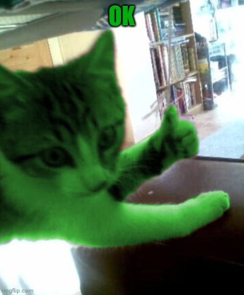 thumbs up RayCat | OK | image tagged in thumbs up raycat | made w/ Imgflip meme maker