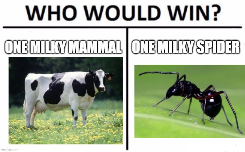 Let the Milk Wars begin | ONE MILKY MAMMAL; ONE MILKY SPIDER | image tagged in memes,who would win,spider,cow | made w/ Imgflip meme maker