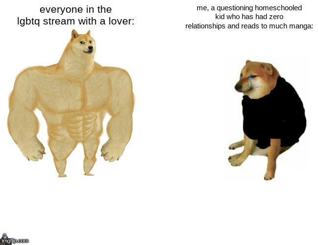 Im not out of shape, so... *looks in mirror starts crying softly* | everyone in the lgbtq stream with a lover:; me, a questioning homeschooled kid who has had zero relationships and reads to much manga: | image tagged in memes,buff doge vs cheems | made w/ Imgflip meme maker