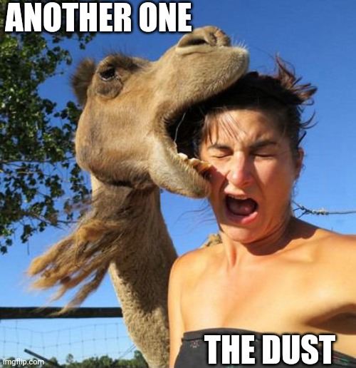 camel bite | ANOTHER ONE; THE DUST | image tagged in camel bite | made w/ Imgflip meme maker