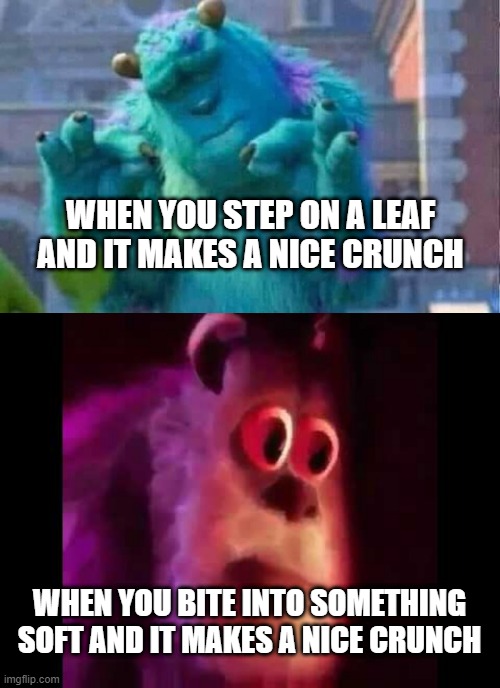 What was in there... | WHEN YOU STEP ON A LEAF AND IT MAKES A NICE CRUNCH; WHEN YOU BITE INTO SOMETHING SOFT AND IT MAKES A NICE CRUNCH | image tagged in sully shutdown,sully groan,crunch,oh rip,what was that | made w/ Imgflip meme maker