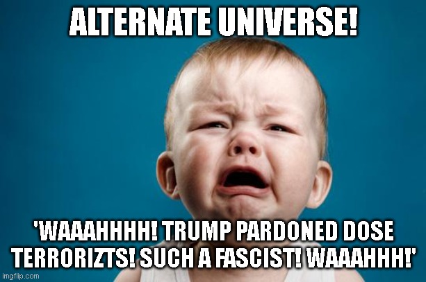 BABY CRYING | ALTERNATE UNIVERSE! 'WAAAHHHH! TRUMP PARDONED DOSE TERRORIZTS! SUCH A FASCIST! WAAAHHH!' | image tagged in baby crying | made w/ Imgflip meme maker