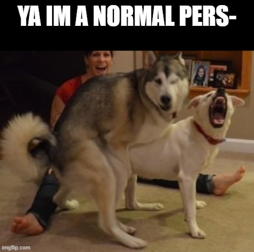 idk | YA IM A NORMAL PERS- | made w/ Imgflip meme maker